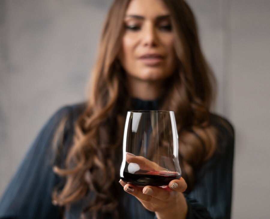 riedel sl wings to fly cabernetmerlot