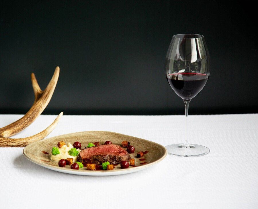 riedel veritas old world syrah