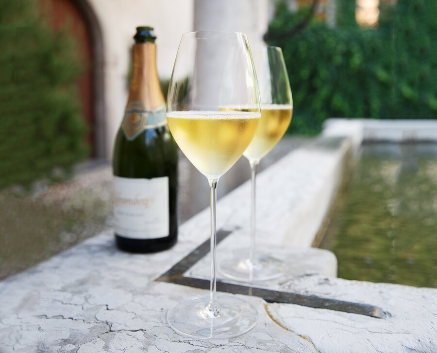 riedel superleggero champagner-weinglas