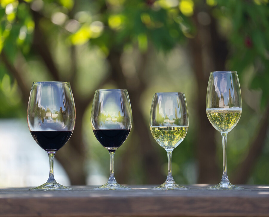 riedel ouverture weißweinmagnumchampagnerglas