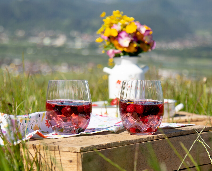 riedel mischtonikum-set
