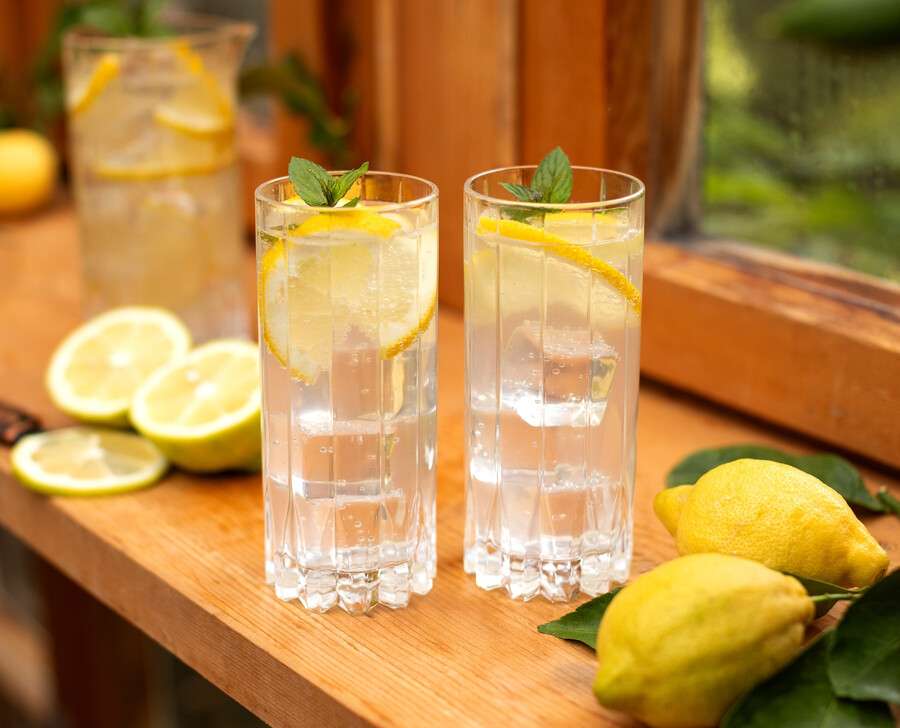 riedel getränkespezifische gläser highball-glas